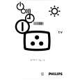 PHILIPS 29PT9413/19 Owners Manual